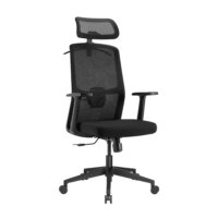 Ergonomic Mesh Chair