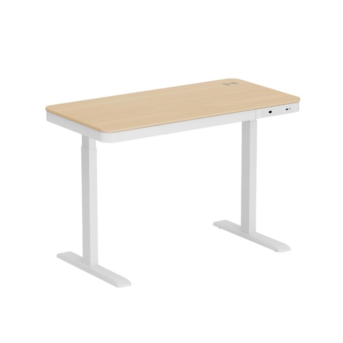 Multifunctional Standing Desk